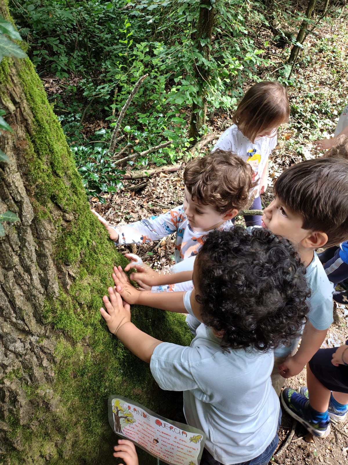 metodo-criteri-educativi-primavera